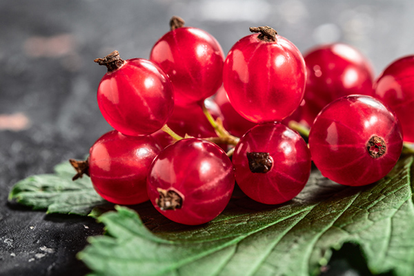 Photo of Currants