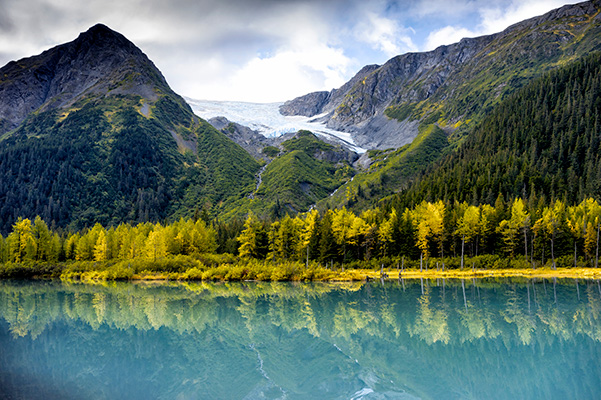 Alaskan Landscape Photo Featuring Body of Water, Trees, and Mountains
