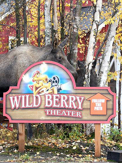 Alaska Moose Standing Behind Wild Berry Theater Sign